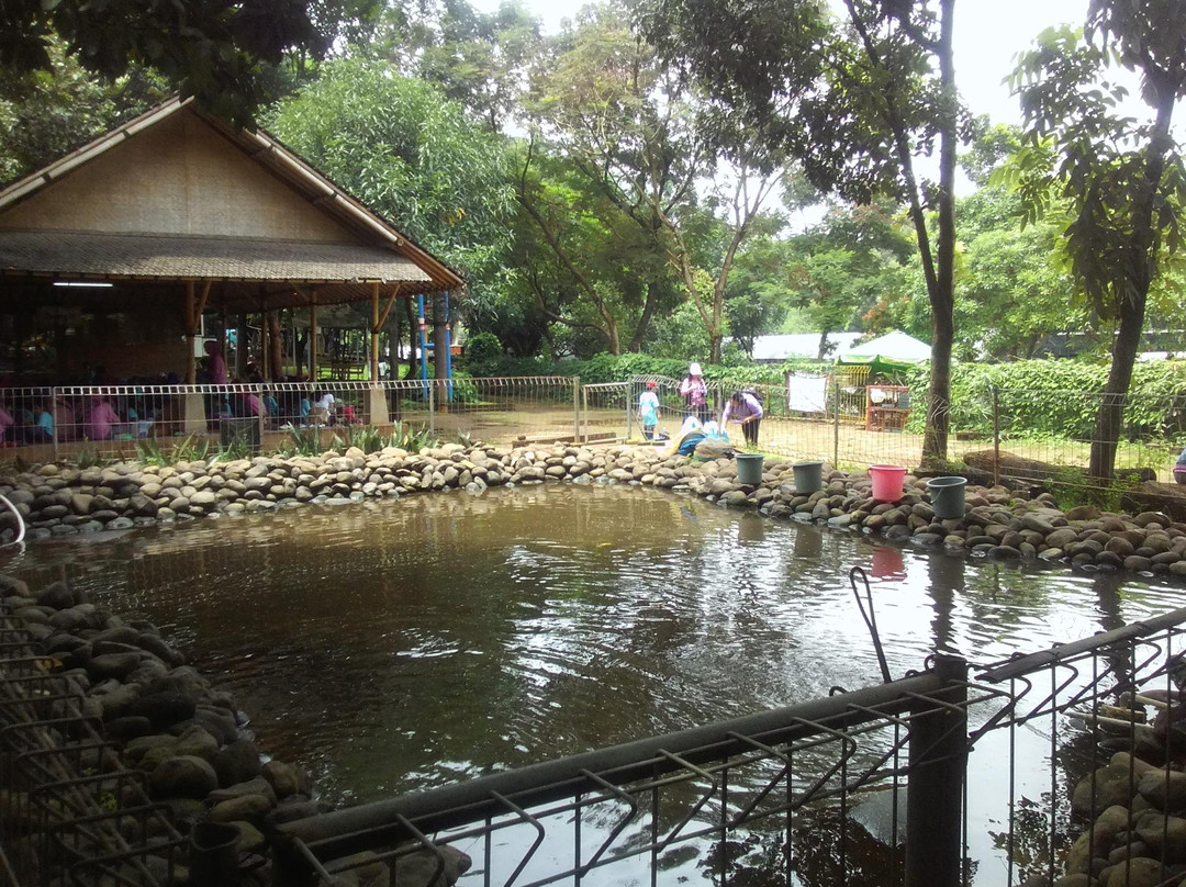 Telaga Arwana Cibubur-雅加达必去景点