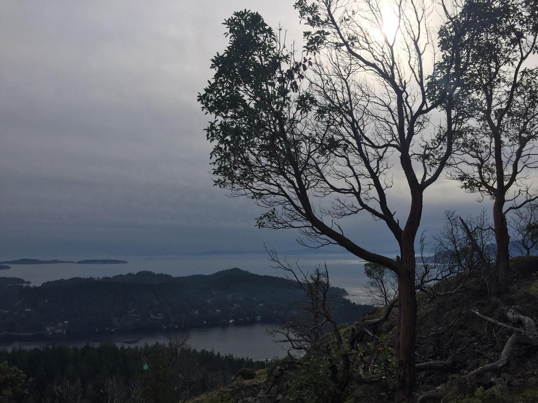 Pender Hill Park-马德拉公园镇必去景点
