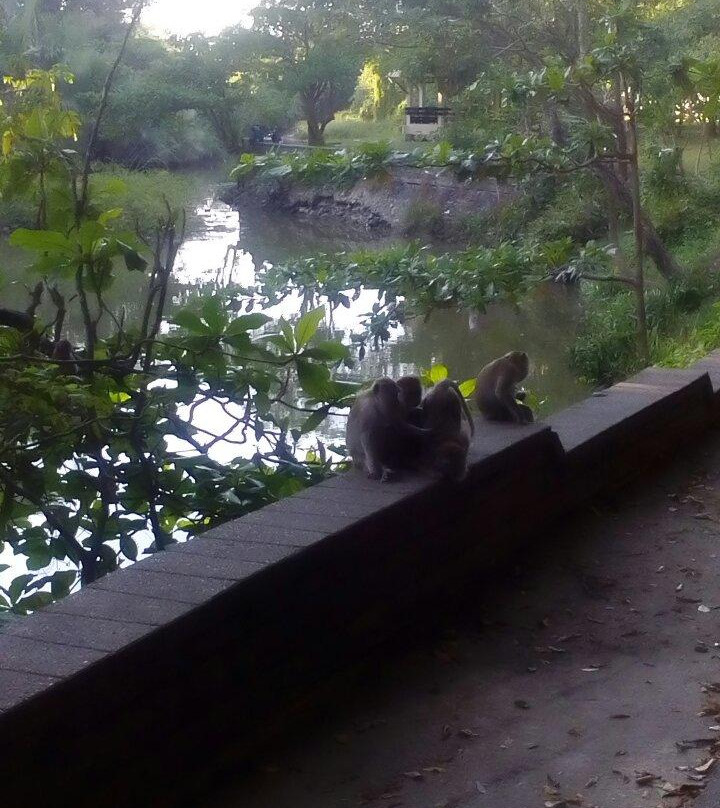 Khao To Phaya Wang Park-沙敦必去景点