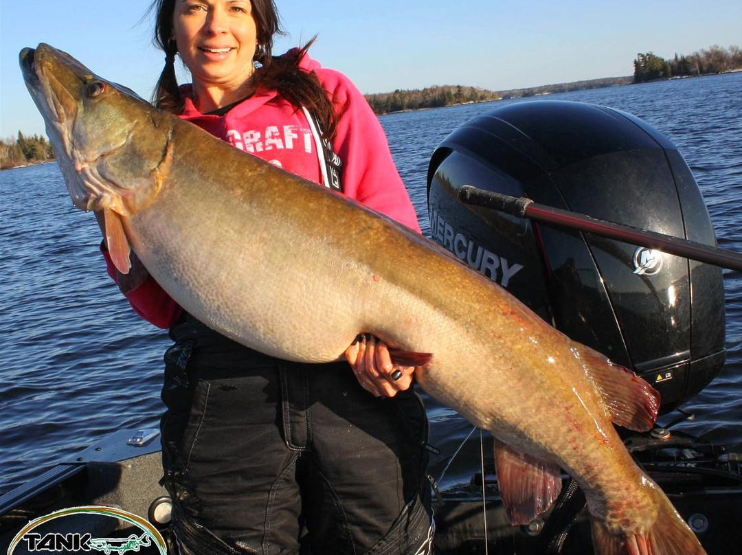 Tank Industries Guide Service-凯诺拉必去景点