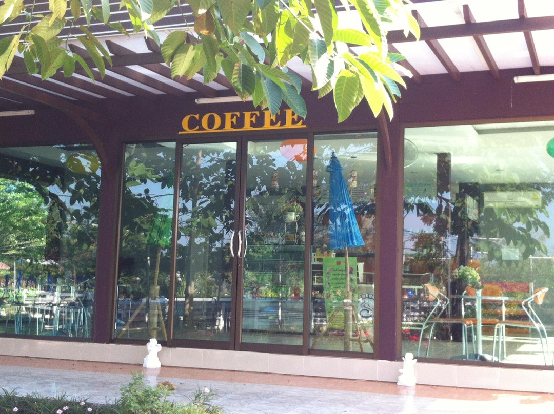 The Lion Park Resort景点图片