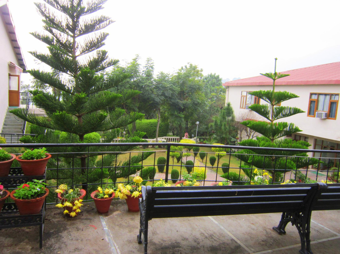 Surya Rock Rose Resort主图