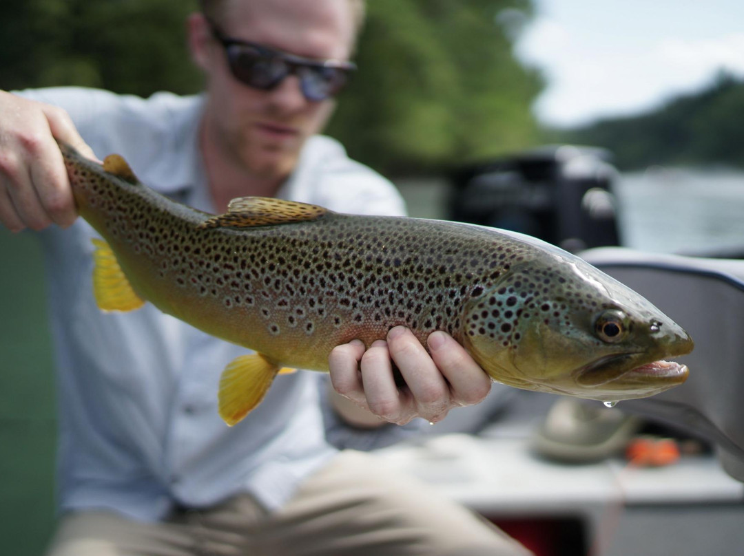 Rouse Fly Fishing-Heber Springs必去景点