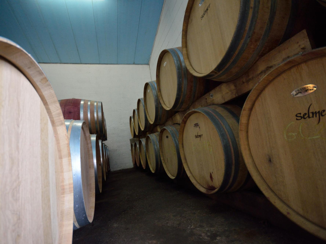 Chateau Clos Saint Emilion Philippe-圣埃美隆必去景点