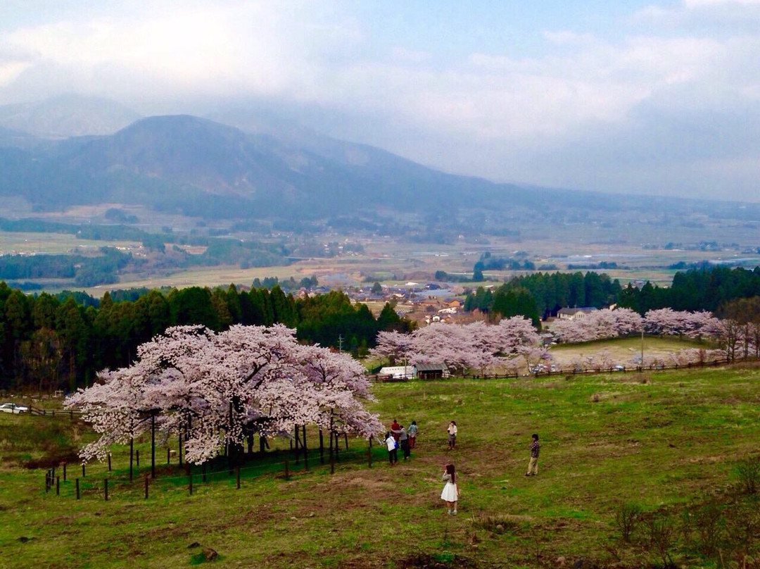 南阿苏村旅游攻略图片