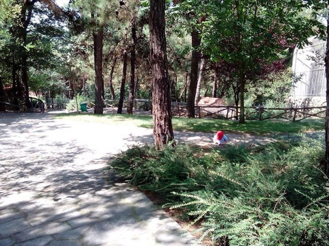 Thessaloniki Zoo-Agios Pavlos必去景点