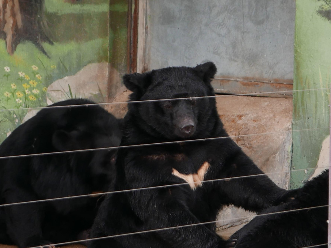 Eco Parkland Zoo-咸平郡必去景点