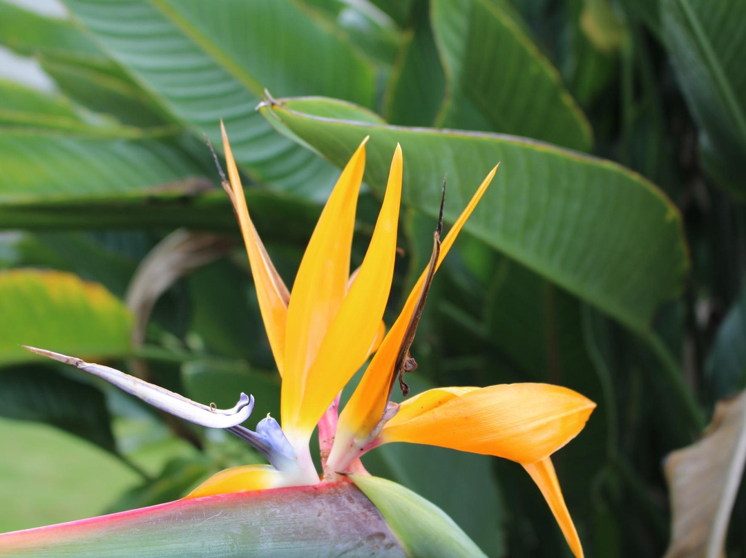 CG Bush Tennis-普林斯维尔必去景点