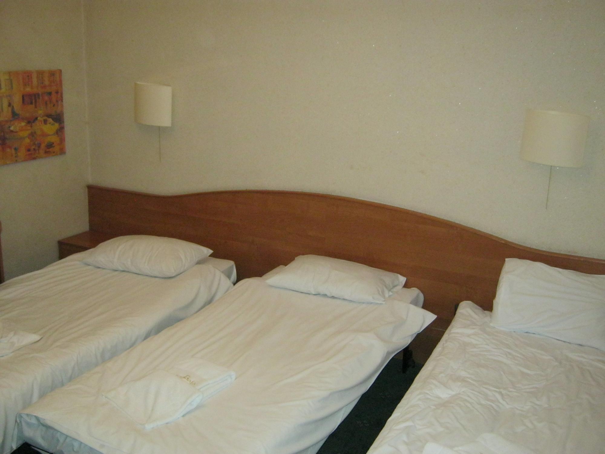 Hotel Gaja-客卧