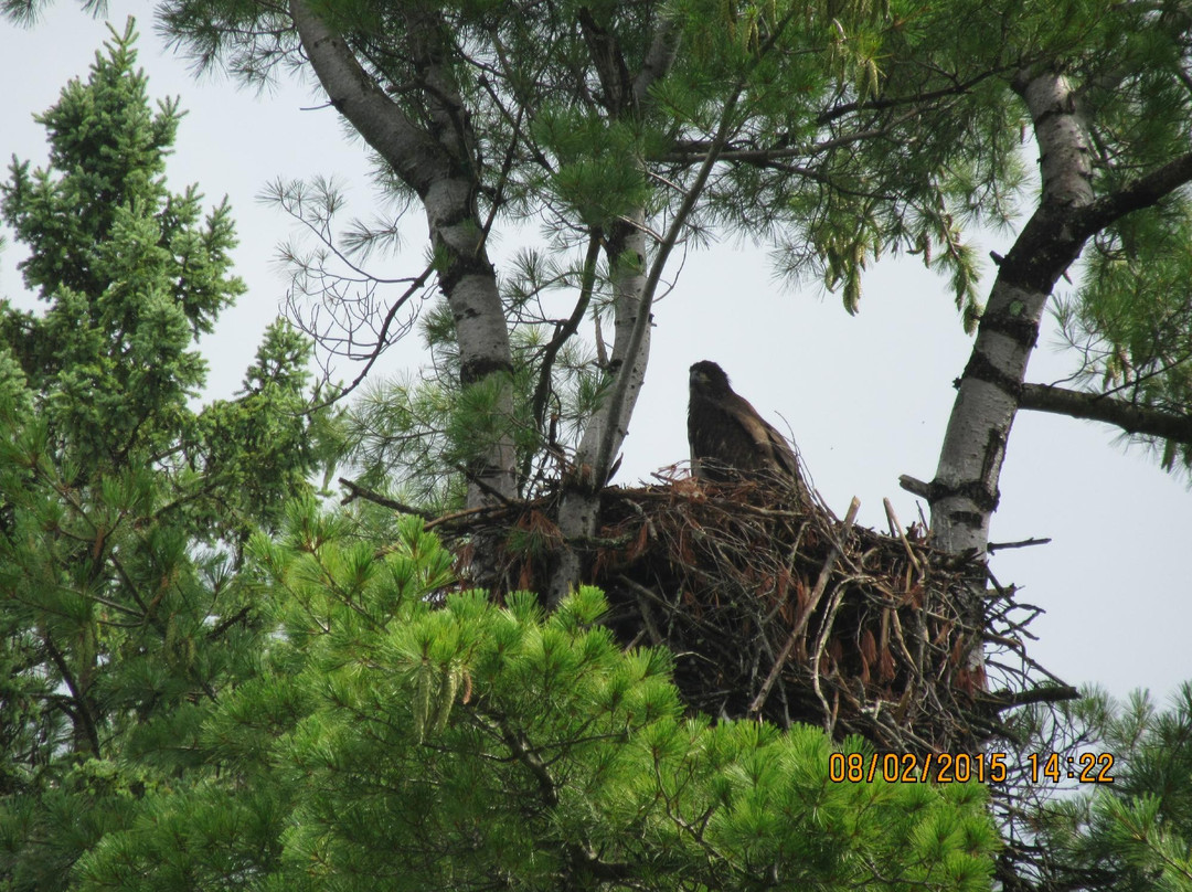Wisconsin River Cruises-Rhinelander必去景点