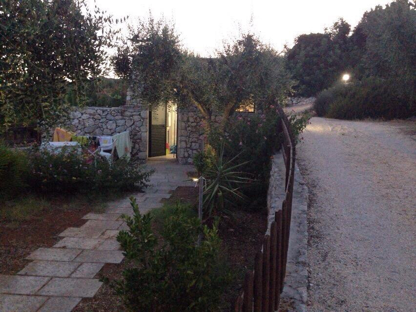 Amoru Bed&Breakfast主图