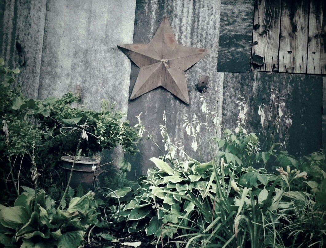 Holcomb's Blueberries-Jonesville必去景点