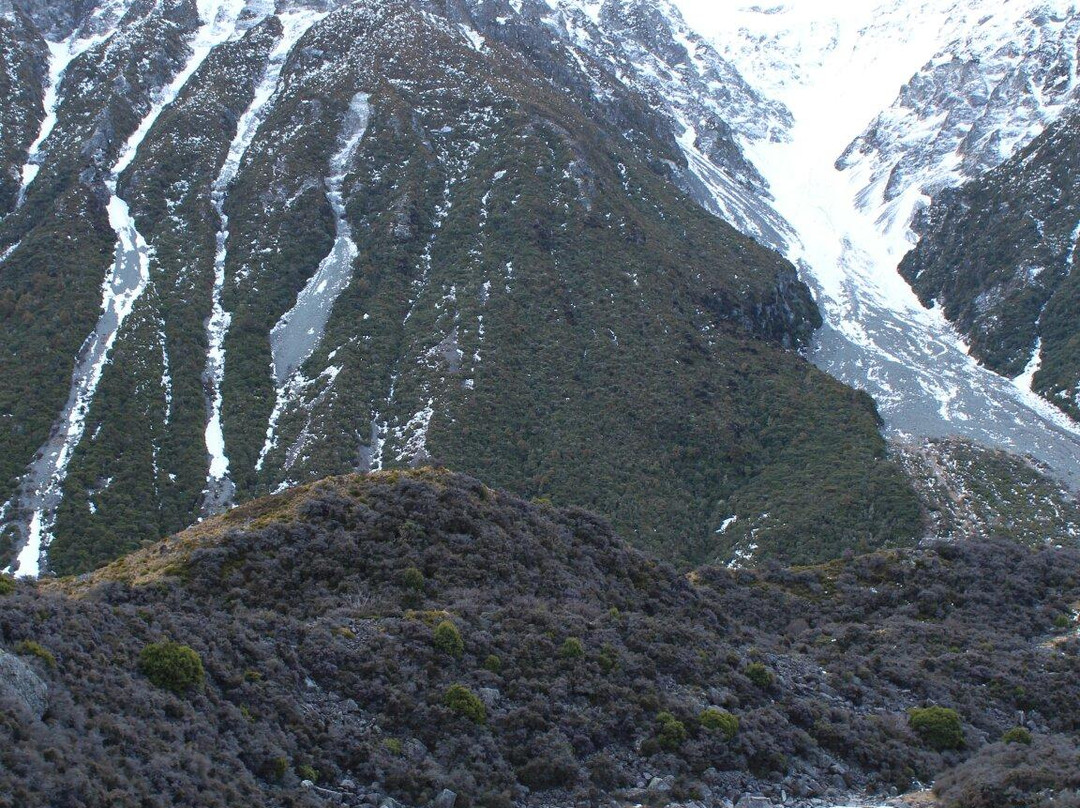 蓝湖及塔斯曼冰川-库克山国家公园必去景点