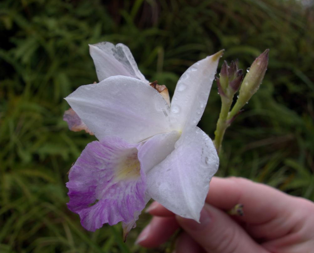 Jungle Rules Adventure Tours-Santa Rita必去景点