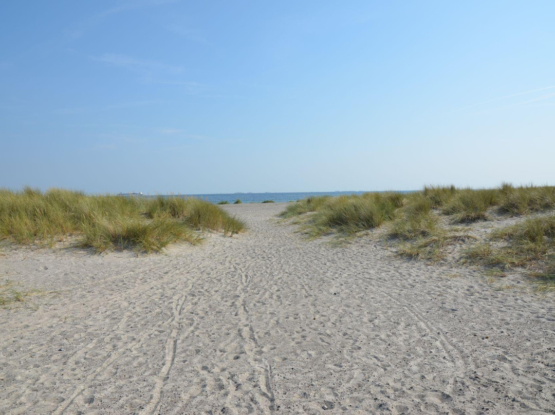 Amager Strandpark-哥本哈根必去景点