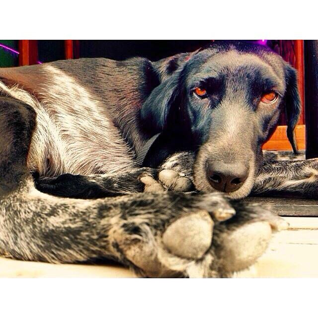 Happy Alternative Style Cafe Bar-卡斯必去景点