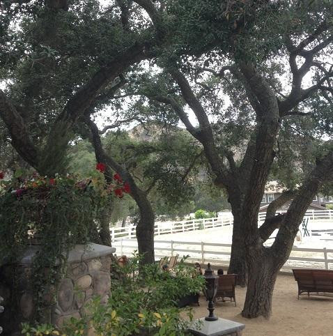 Giracci Vineyards and Farms-Silverado必去景点