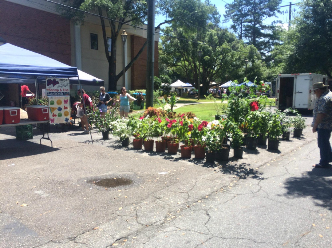 Summerville Farmer's Market景点图片