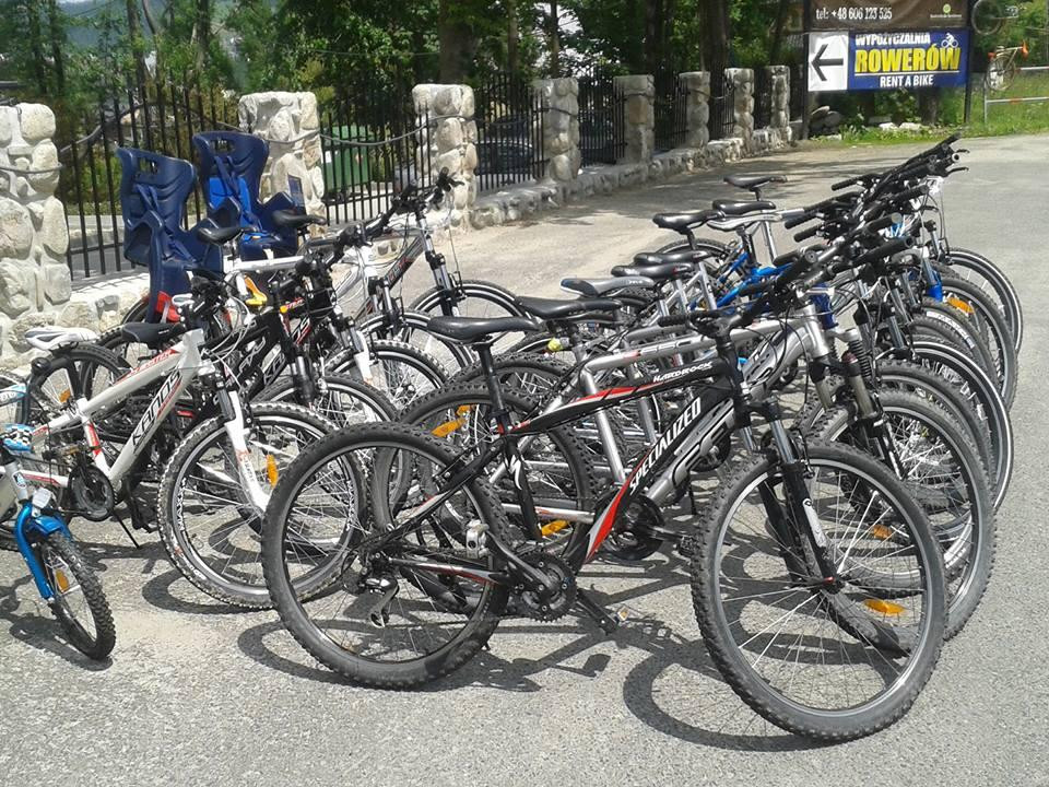 U Holka Bicycle Rental景点图片