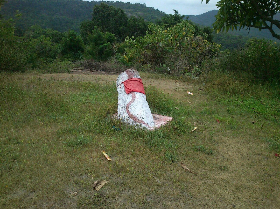 Dolmen Circle景点图片