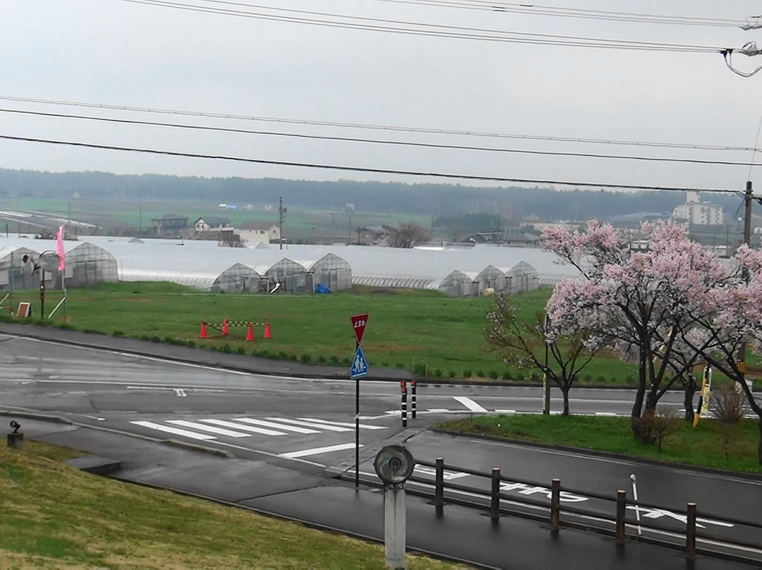 Miharasi Farm-伊那市必去景点