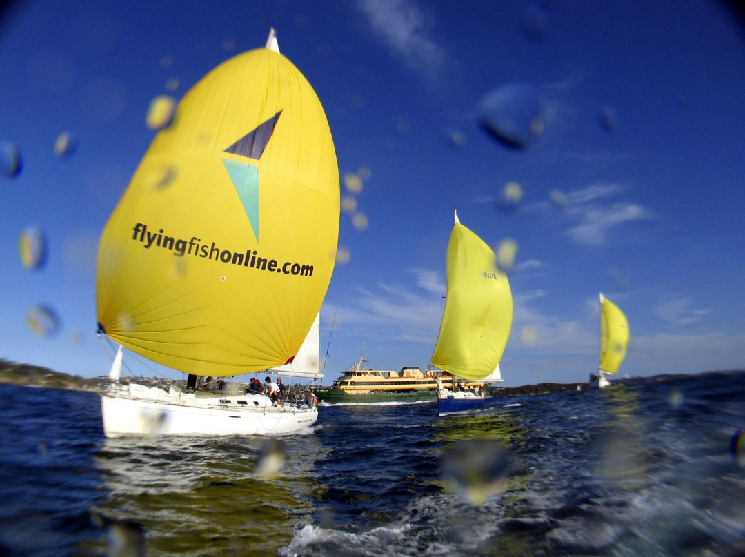 Flying Fish Sailing-莫斯曼必去景点