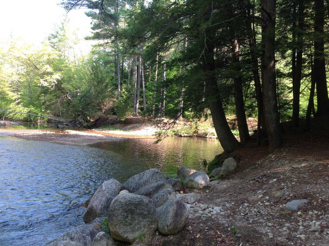 Tamworth Camping Area