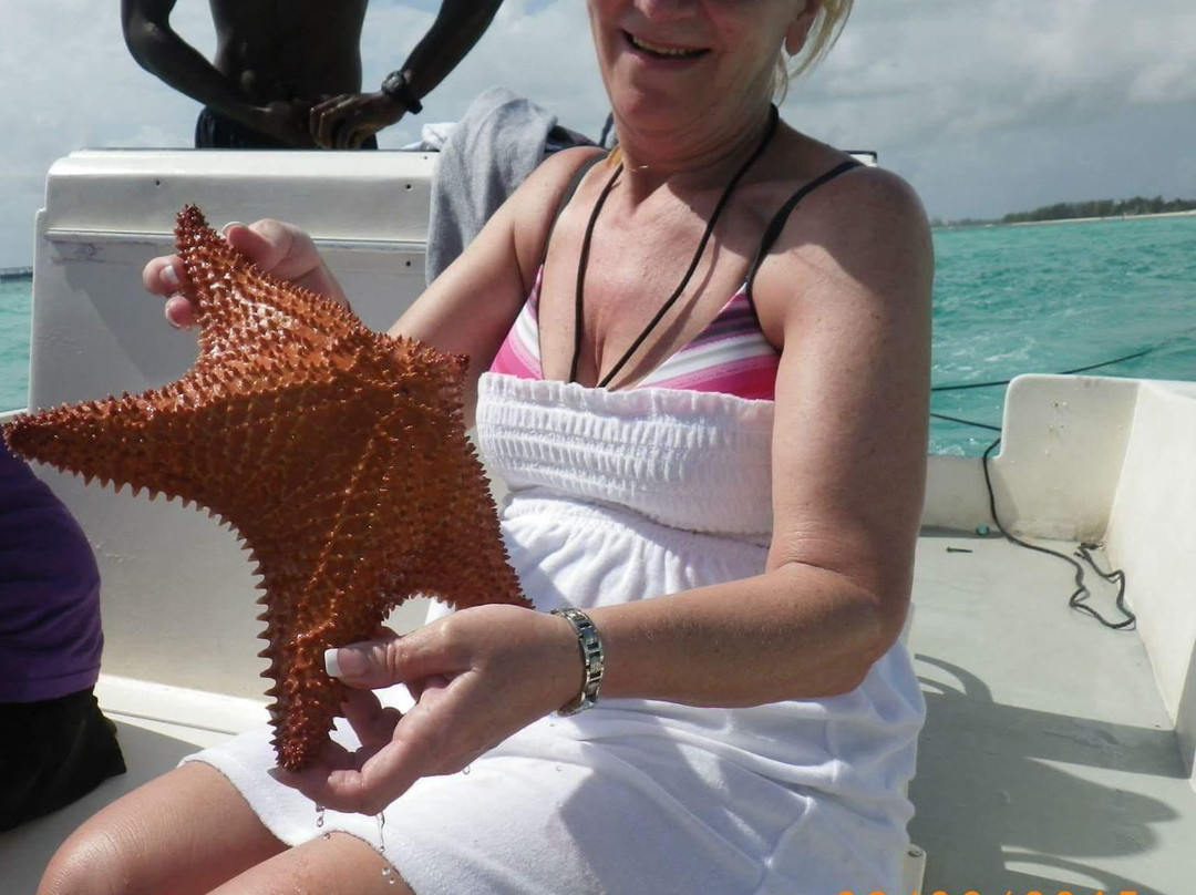 Peterson Cay-弗里波特必去景点