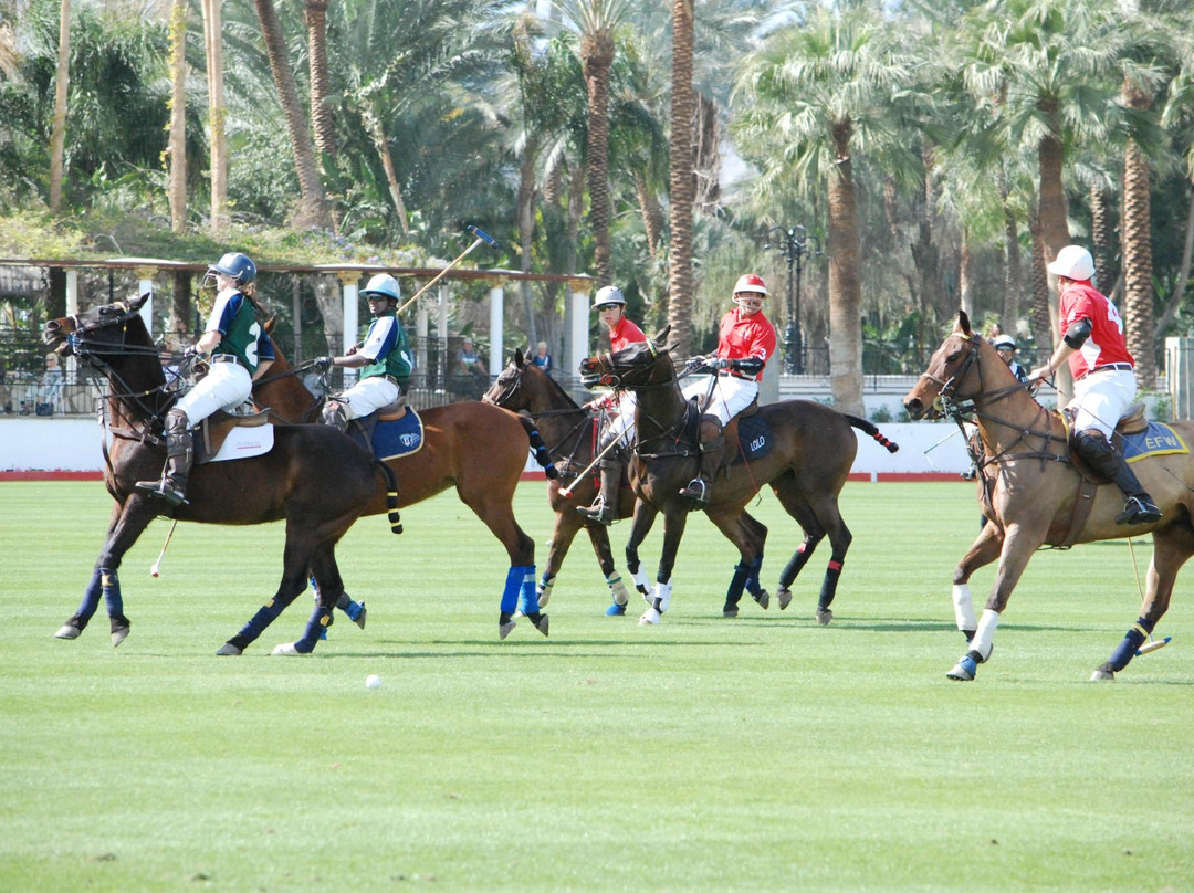 Eldorado Polo Club-印第奥必去景点