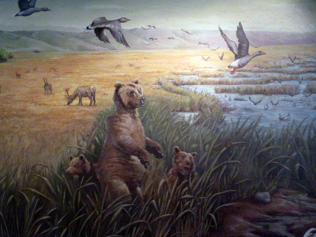 Hayward Area Historical Society-海沃德必去景点