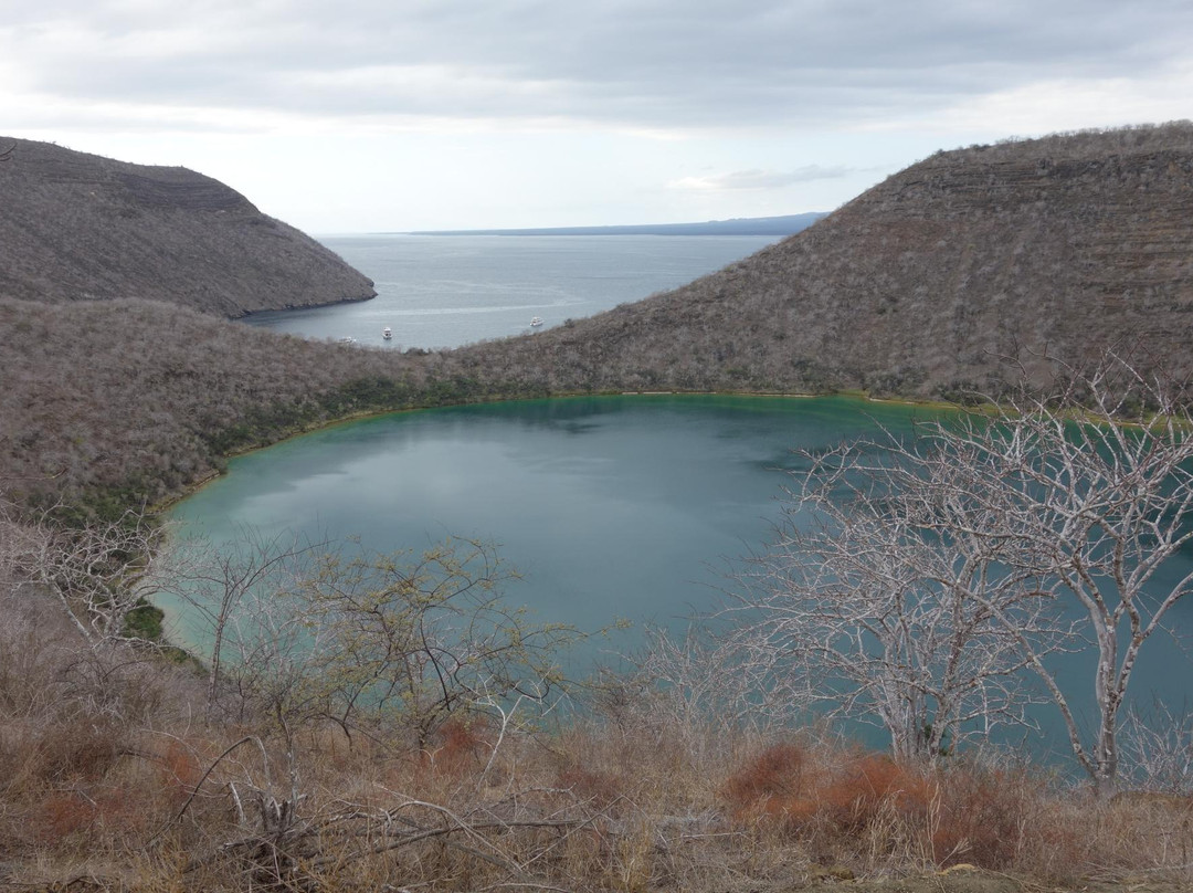 Tagus Cove-伊莎贝拉岛必去景点