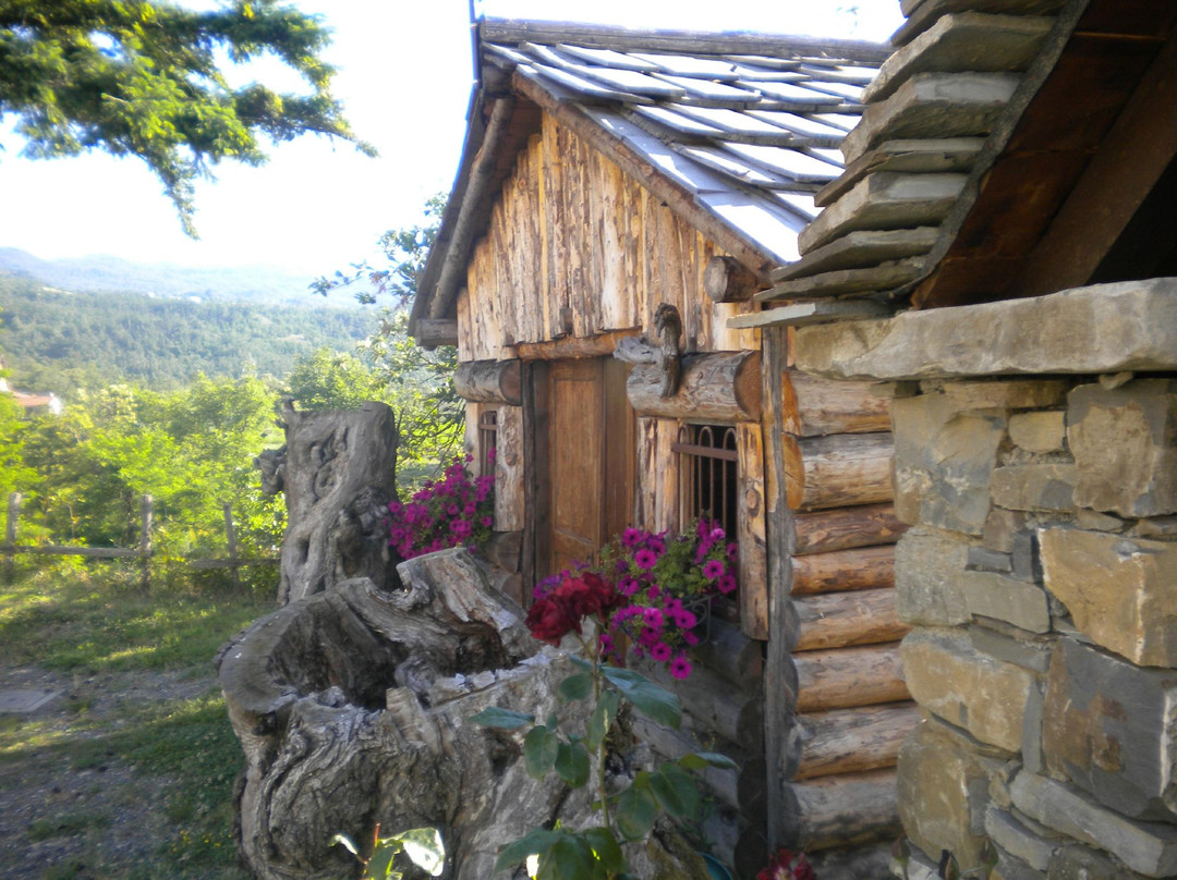 Parco delle Gite景点图片