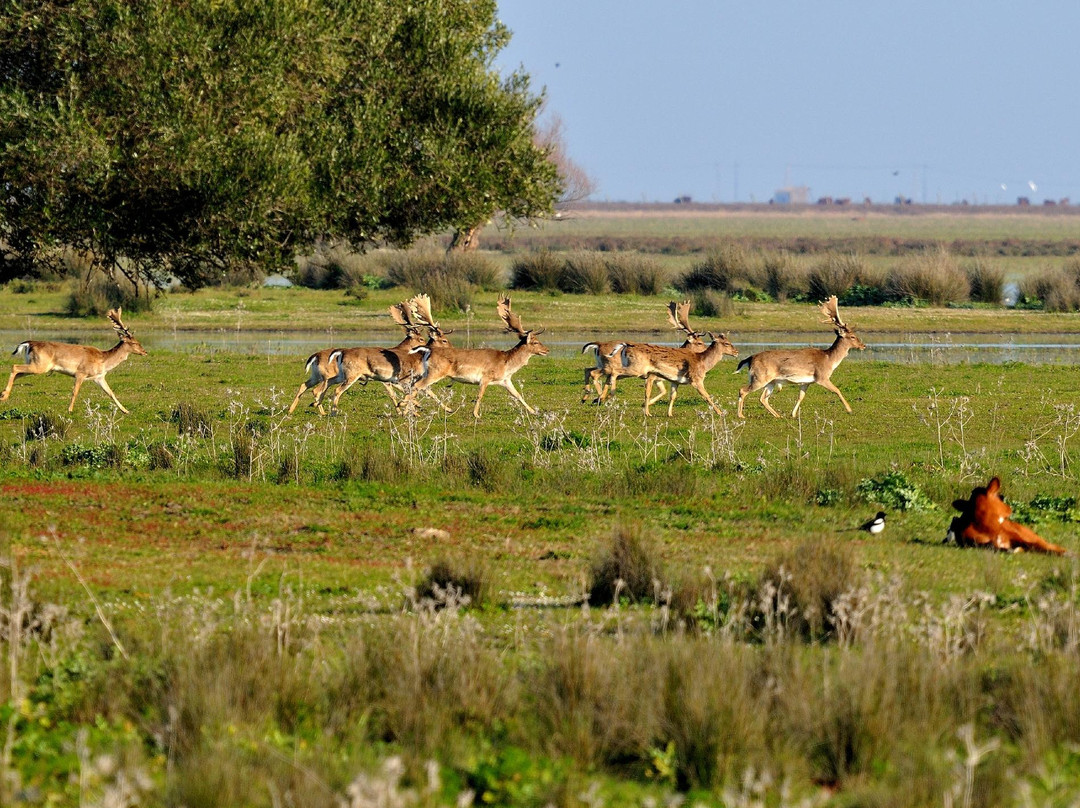 Huelva Experiences-韦尔瓦必去景点