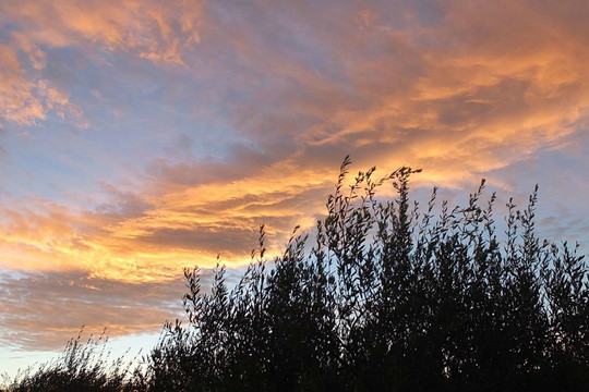 Rancho Olivos-圣伊内斯必去景点