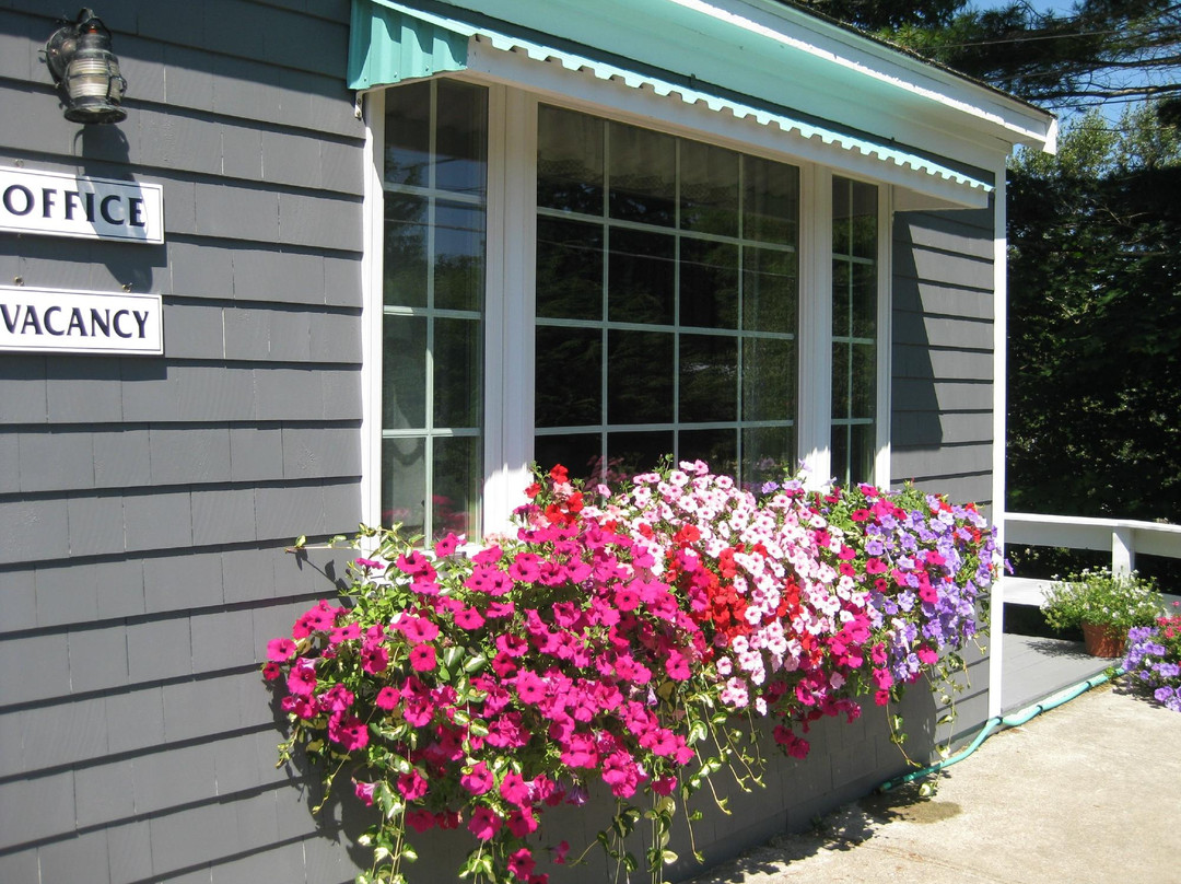 Mid-Town Motel主图