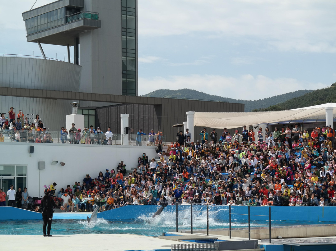 Geoje Sea World-巨济市必去景点