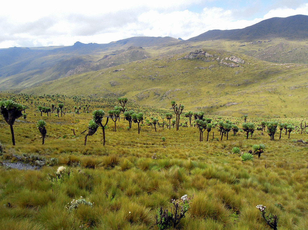 Aberdare National Park-涅里必去景点