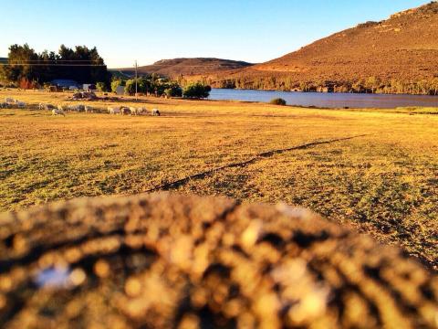 Bulshoekfarm Accomodation-客卧