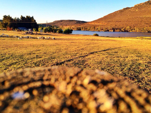 Bulshoekfarm Accomodation主图