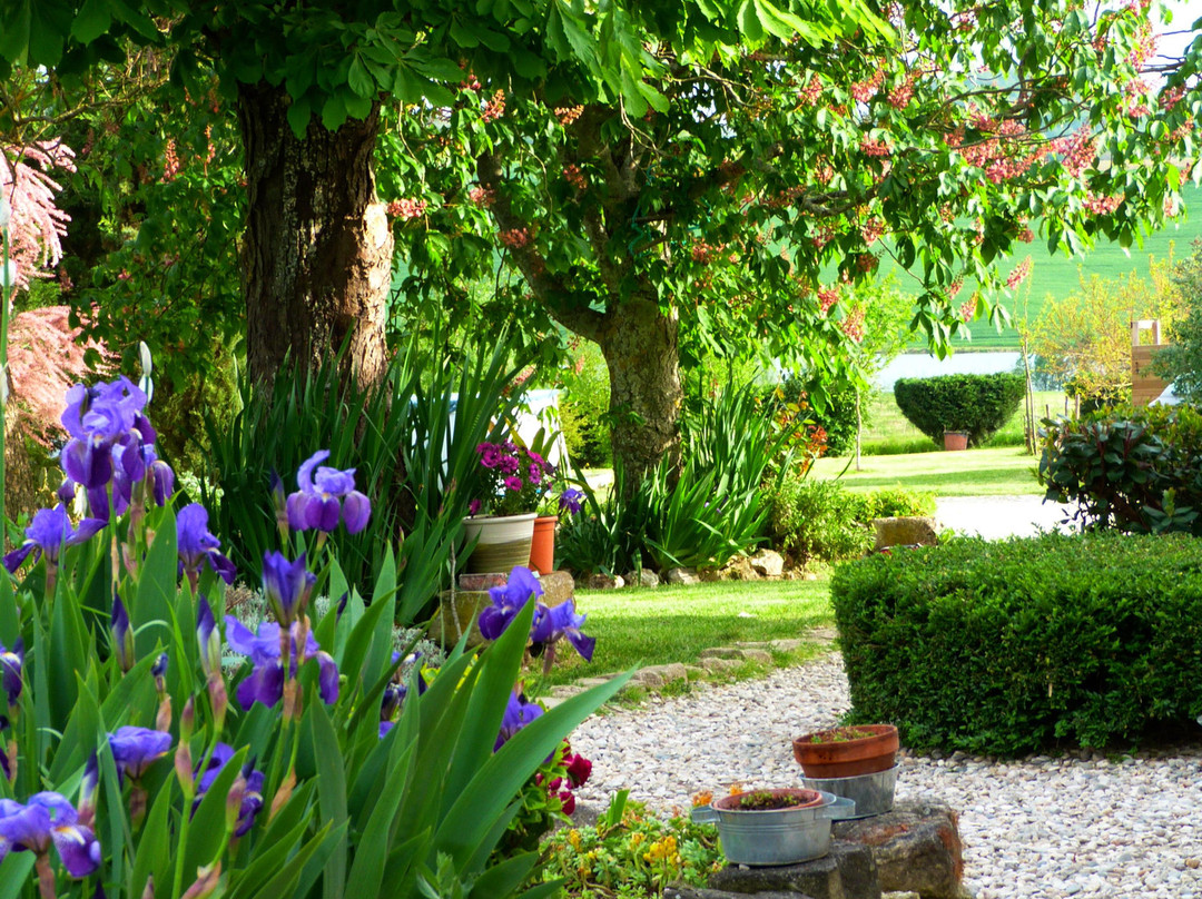 Chambres D'Hotes Le Cartounier主图