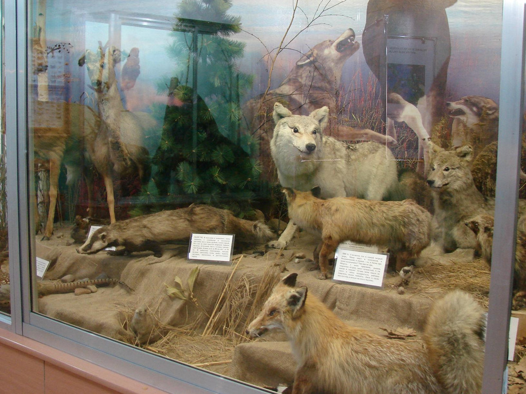 Museum of Local Lore-Belogorsk必去景点