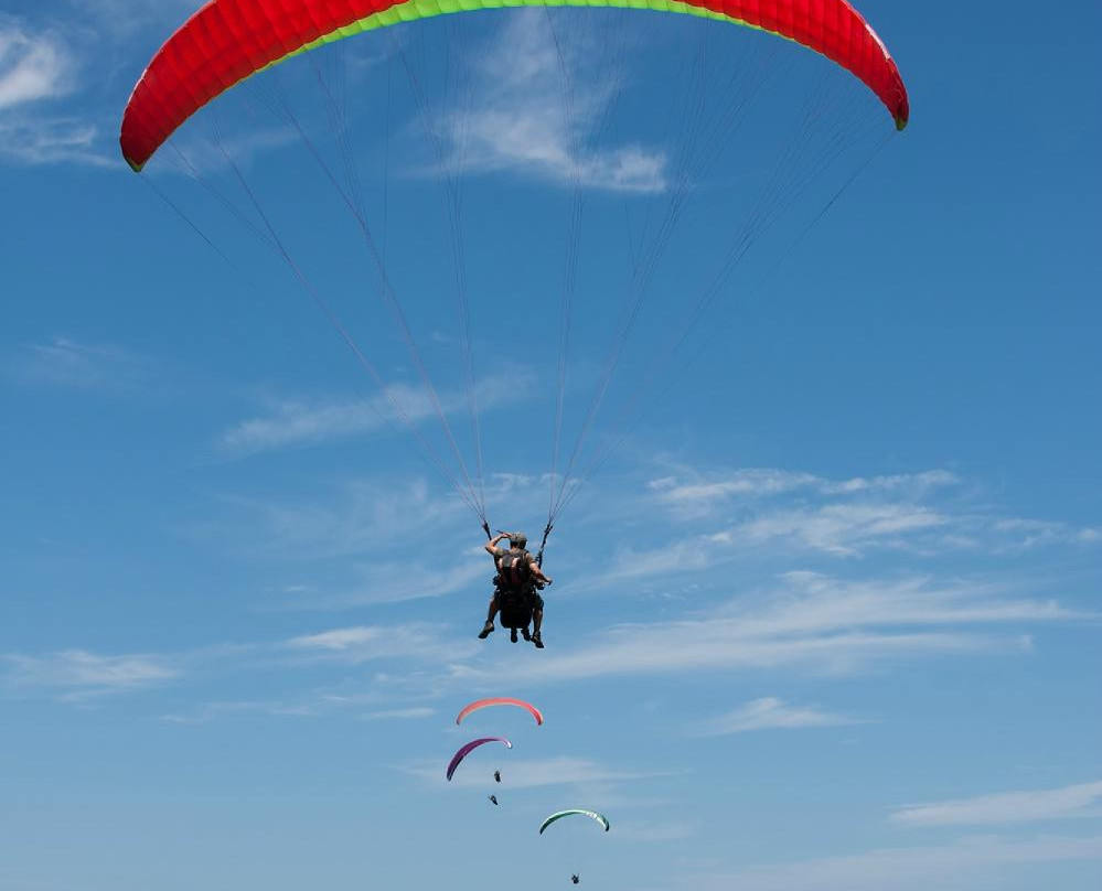 Dolphin Paragliding-Sedgefield必去景点