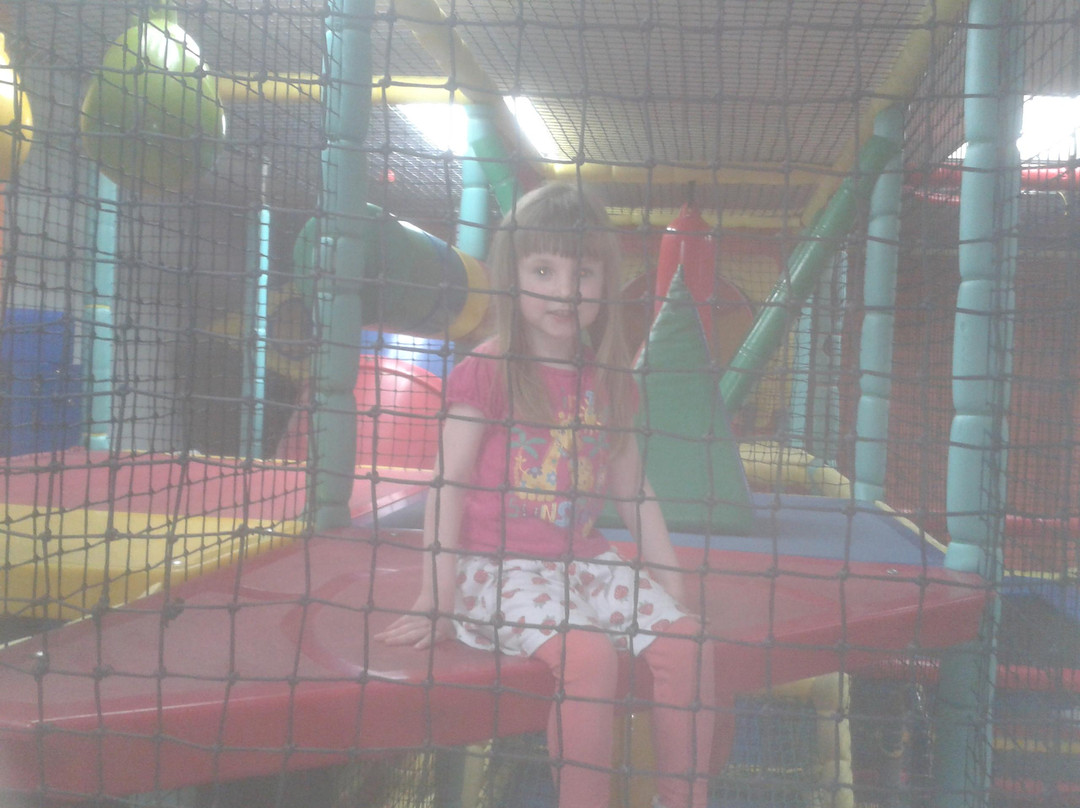 Peke Planet-Ca'n Picafort必去景点