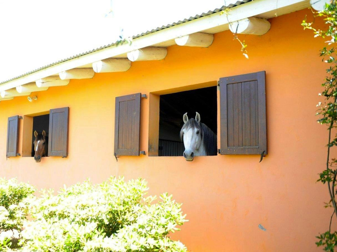 Haras Godiva-Jose Ignacio必去景点