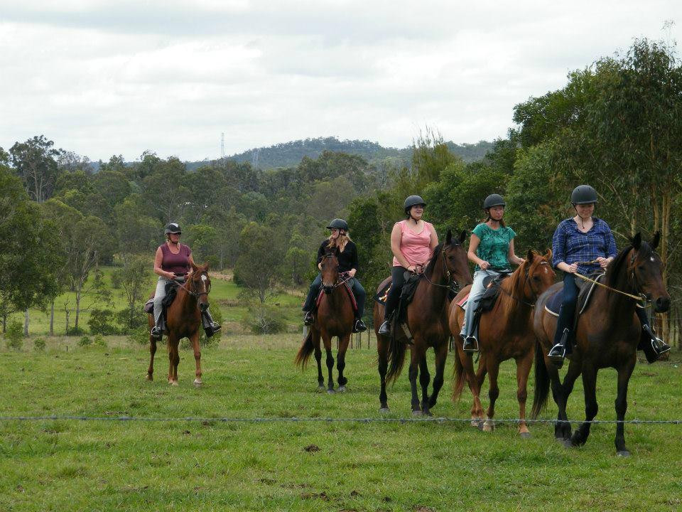 Tamborine Mountain Trail Rides景点图片