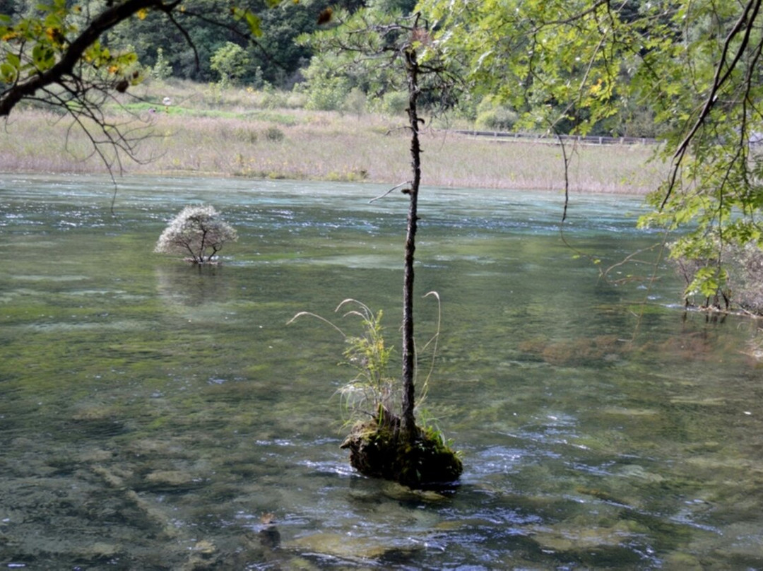 芳草海景点图片