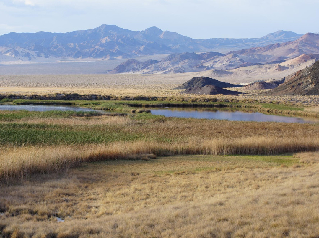 Saratoga Springs-死亡谷国家公园必去景点