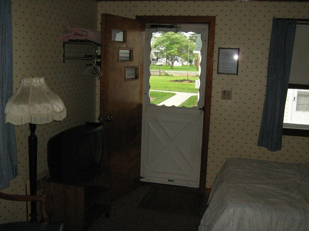 Kobel's Twin Maples主图