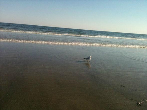 The Breakers Inn主图