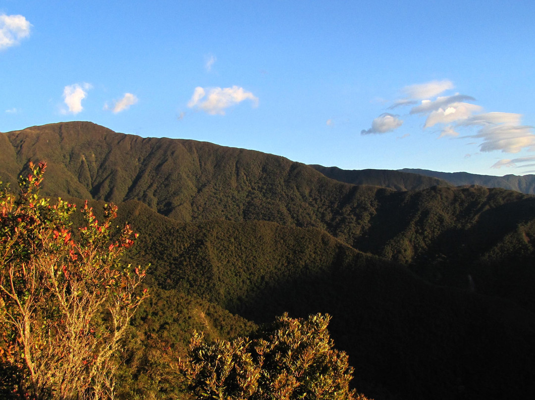 Podocarpus National Park-Zamora必去景点